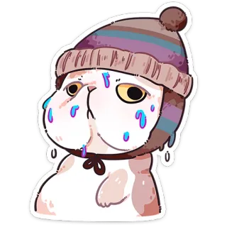 ❤️ kat, dier, sticker, schattig, hoed, tranen whatsapp sticker