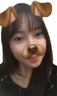 😜 Hundefilter, Selfie, Frau, Gesicht, Porträt, Ohren, Braun telegram sticker