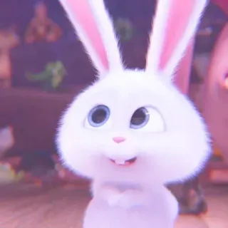 🐰 Snowball The Secret Life of Pets bunny, rabbit, cute, animal, pet, white, fluffy whatsapp sticker