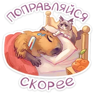 🤒 поправляйся скорее выздоравливай, капибара, болен, кошка, кровать, термометр telegram sticker