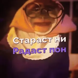 🐵 Старост ни
Радаст пон abuela, anciana, bufanda, gafas, persona mayor whatsapp sticker