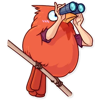 😳 pássaro, binóculos, observando, cardeal, espiando, animal telegram sticker
