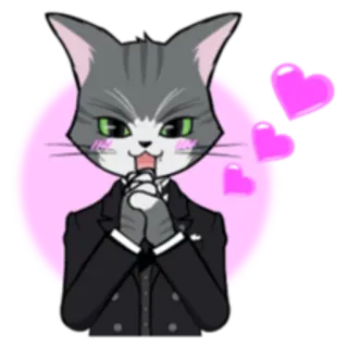 😍 고양이, 애니메이션, 하트, 동물, 이모티콘, 의인화 telegram sticker