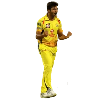 😻 Cricket, Sport, Athlet, Feier, Team, Sieg whatsapp sticker