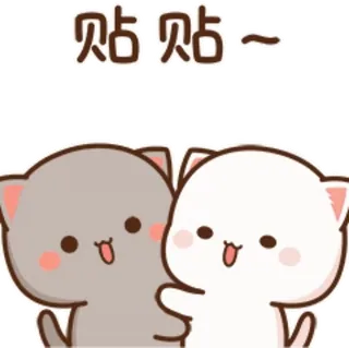 🥰 贴 贴~ 고양이, 귀여운, 스티커, 우정 whatsapp sticker