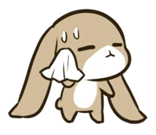 😅 coelho, coelho, triste, fofo, desenho animado, suor, anime, adesivo whatsapp sticker