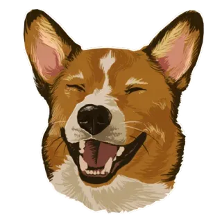 🐶 chó, corgi, động vật, thú cưng, dễ thương, vui vẻ telegram sticker