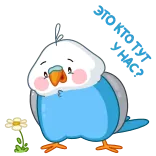 🌷 鳥, 可愛い, 動物, かわいい telegram sticker