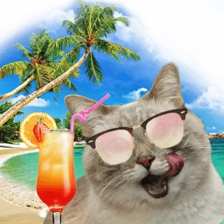 🍹 cat, sunglasses, beach, cocktail, summer, tropical, vacation telegram sticker