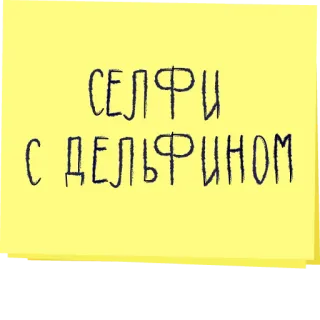 🤳 СЕЛФИ С ДЕЛЬФИНОМ Selfi, Delfín, Nota adhesiva, Dibujo, Ruso telegram sticker