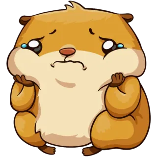 😞 hamster, triste, chorando, fofo, animal, animal de estimação telegram sticker