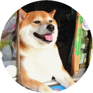 ⛽ 犬, 動物, ペット, 柴犬 telegram sticker