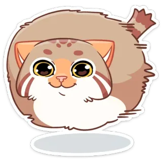☺️ gato, lindo, sticker, animal, dibujo animado, mamífero telegram sticker