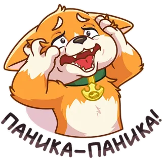 😱 ПАНИКА-ПАНИКА! dog, panic, scared, worried, expression, animal, cartoon telegram sticker