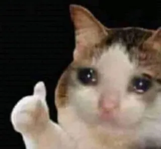 😩 gato, pulgar arriba, triste, animal, meme telegram sticker