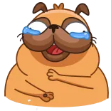 😂 개, 퍼그, 만화, 동물, 슬픈, 울음, 감정, 이모티콘 telegram sticker