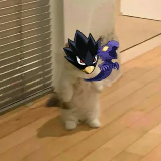 🦅 Tokoyami Fumikage My Hero Academia cat, funny, my hero academia, tokoyami fumikage, anime, cute telegram sticker