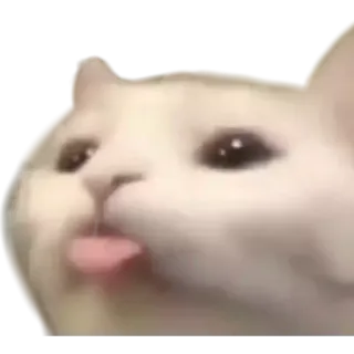 😝 кот, язык, животное, стикер, питомец telegram sticker