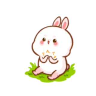 👏 królik, słodki, zwierzę, kawaii whatsapp sticker
