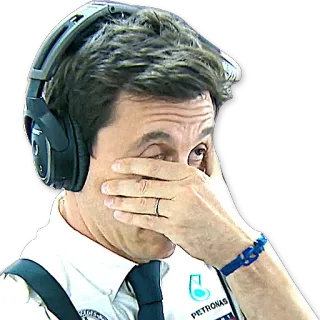 🙈 frustrado, triste, facepalm, automovilismo, jefe de equipo whatsapp sticker