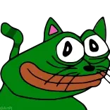 🐱