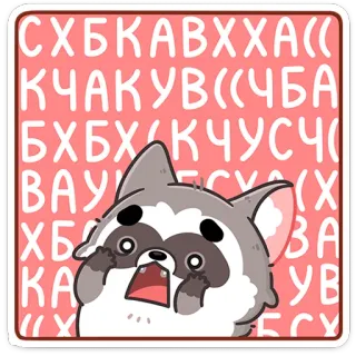 😳 СХБКВВХАА szop, naklejka, kreskówka, zwierzę, rosyjski, tekst whatsapp sticker