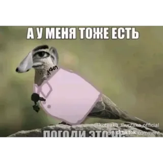 🔥 А У МЕНЯ ТОЖЕ ЕСТЬ telegram sticker