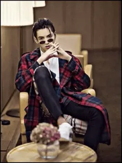 ➖ uomo, moda, plaid, occhiali da sole, interno, sedia telegram sticker
