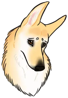 😟 anjing, sedih, binatang, potret, mamalia, hewan peliharaan telegram sticker