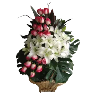 🌷 ดอกไม้, การจัดดอกไม้, กุหลาบ, ลิลลี่, ช่อดอกไม้, ตะกร้า, ของขวัญ telegram sticker