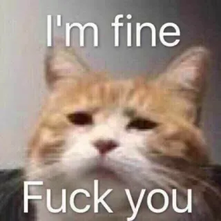 ✨ I'm fine Fuck you Katze, Meme, Lustig, Sarkastisch, Mir geht's gut, Offensiv telegram sticker