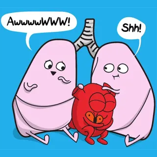 😴 Awwwwwww! Shh! poumons, coeur, anatomie, dessin animé, santé, médical whatsapp sticker