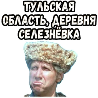 👆 ТУЛЬСКАЯ ОБЛАСТЬ, ДЕРЕВНЯ СЕЛЕЗНЁВКА telegram sticker