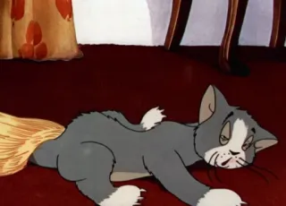 💛 Tom Cat Tom and Jerry Phim hoạt hình, Mèo, Kiệt sức, Mệt mỏi, Chổi, Tom và Jerry, Vui nhộn telegram sticker