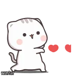 🍼 wontar gato, lindo, animal, dibujos animados, animado telegram sticker