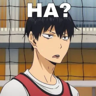 🏐 HA? telegram sticker