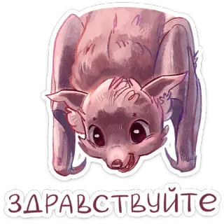 🙃 Здравствуйте bat, animal, greeting, sticker, cartoon telegram sticker