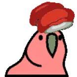 🦜 parrot, boxing glove, bird, animal, cartoon, sticker telegram sticker