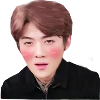 😡 person, man, face, portrait, asian, korean whatsapp sticker