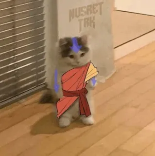 🐈 Nusret TRK gato, avatar, airbender, engraçado, meme, animal, desenho animado telegram sticker