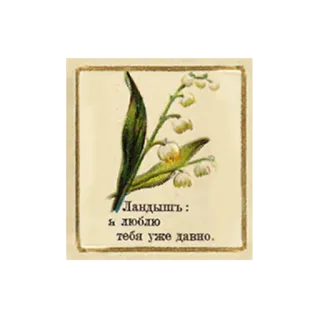 ❤️ Ландышъ :
Я люблю тебя уже давно. Muguet, Fleur, Vintage, Romantique, Amour, Carte de vœux telegram sticker