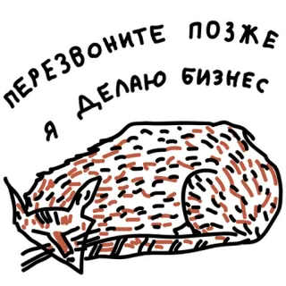😴 ПЕРЕЗВОНИТЕ ПОЗЖЕ 
Я ДЕЛАЮ БИЗНЕС kucing, tidur, bisnis, malas, tidur siang, teks, telepon nanti, hewan telegram sticker