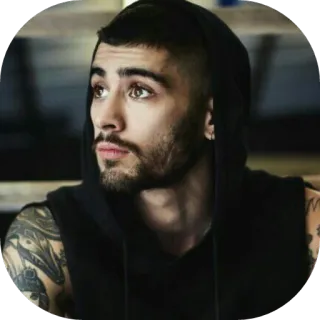 🙄 Zayn Malik Zayn Malik, Zanger, One Direction, Beroemdheid, Portret, Hoodie telegram sticker