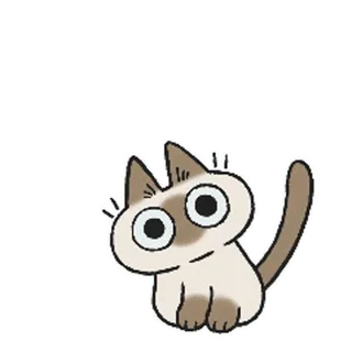 ❗ chat, mignon, animal, autocollant, dessin animé, animal de compagnie whatsapp sticker