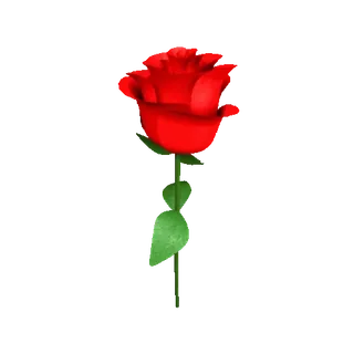 🌹 flor, rojo, rosa, planta, floral telegram sticker