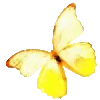 🦋