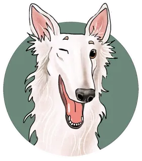 😉 chien, animal, mignon, barzoï, clin d'oeil, blanc, portrait telegram sticker