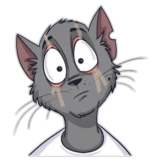 😱 cat, sticker, animal, illustration, cartoon whatsapp sticker