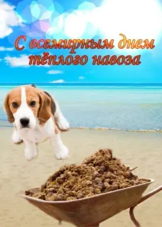С днём | by @uffchat telegram stickers