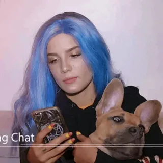💧 ing Chat Frau, blaue Haare, Hund, Handy, Chat telegram sticker